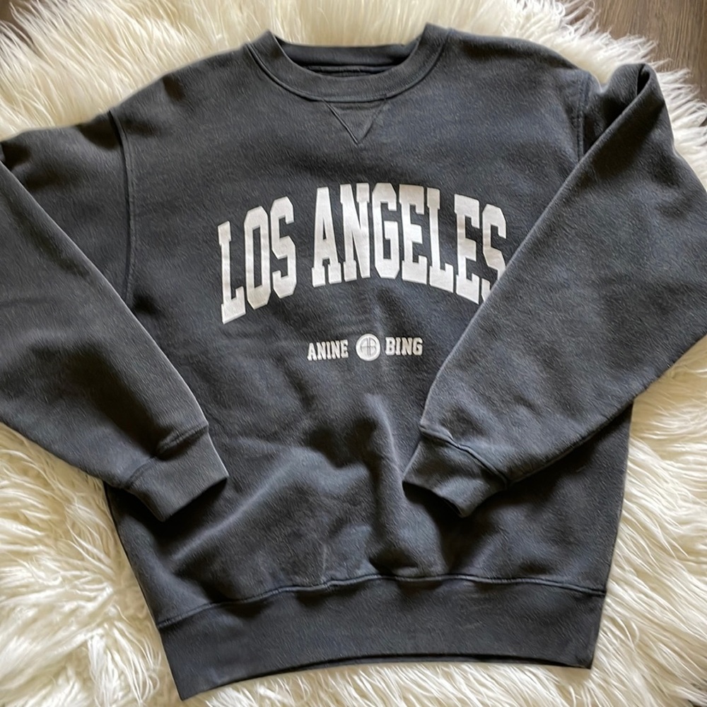 Anine Bing Ramona university sweatshirt